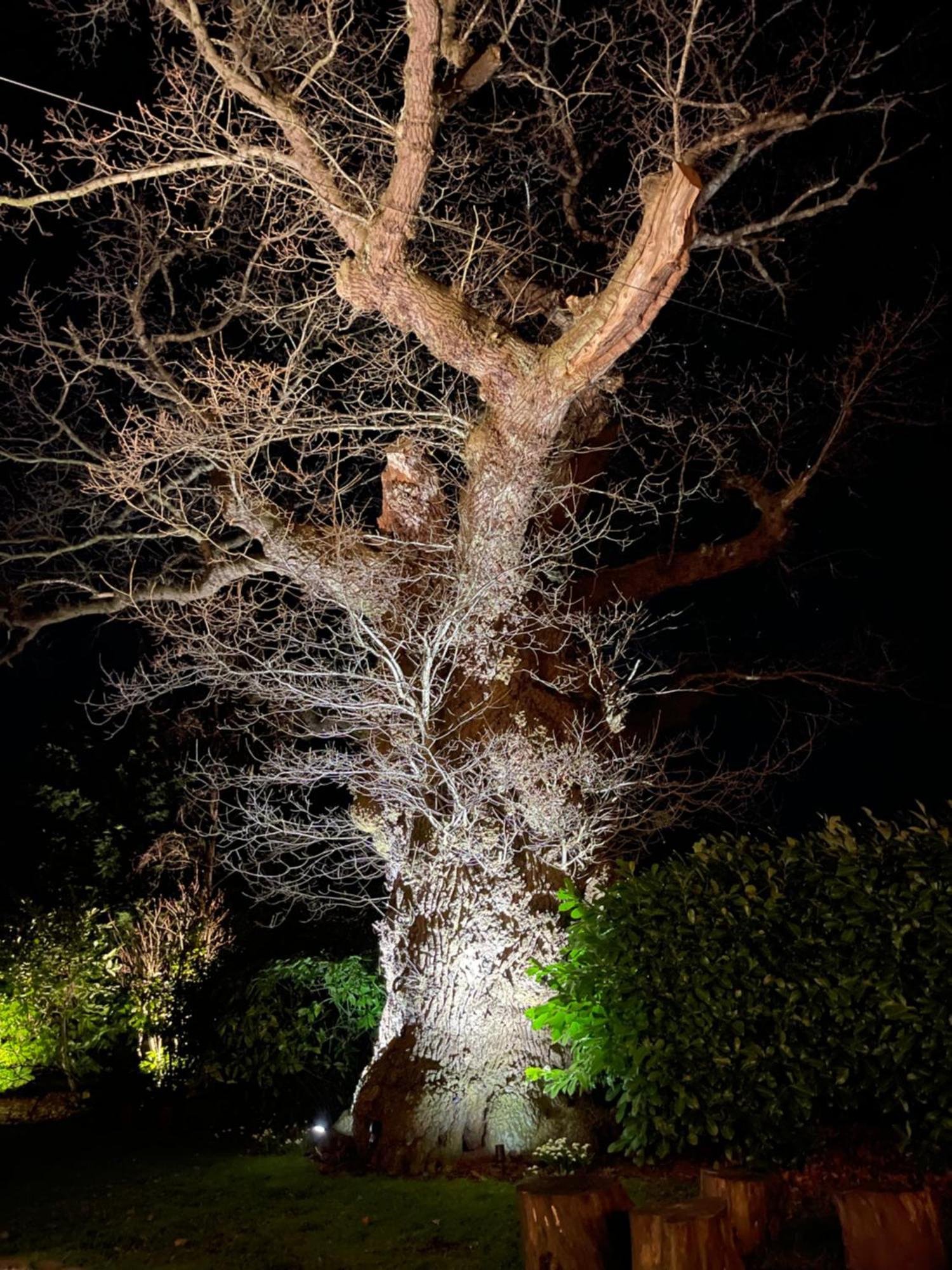 Vila Oak Tree Hideaway Whitchurch  Exteriér fotografie